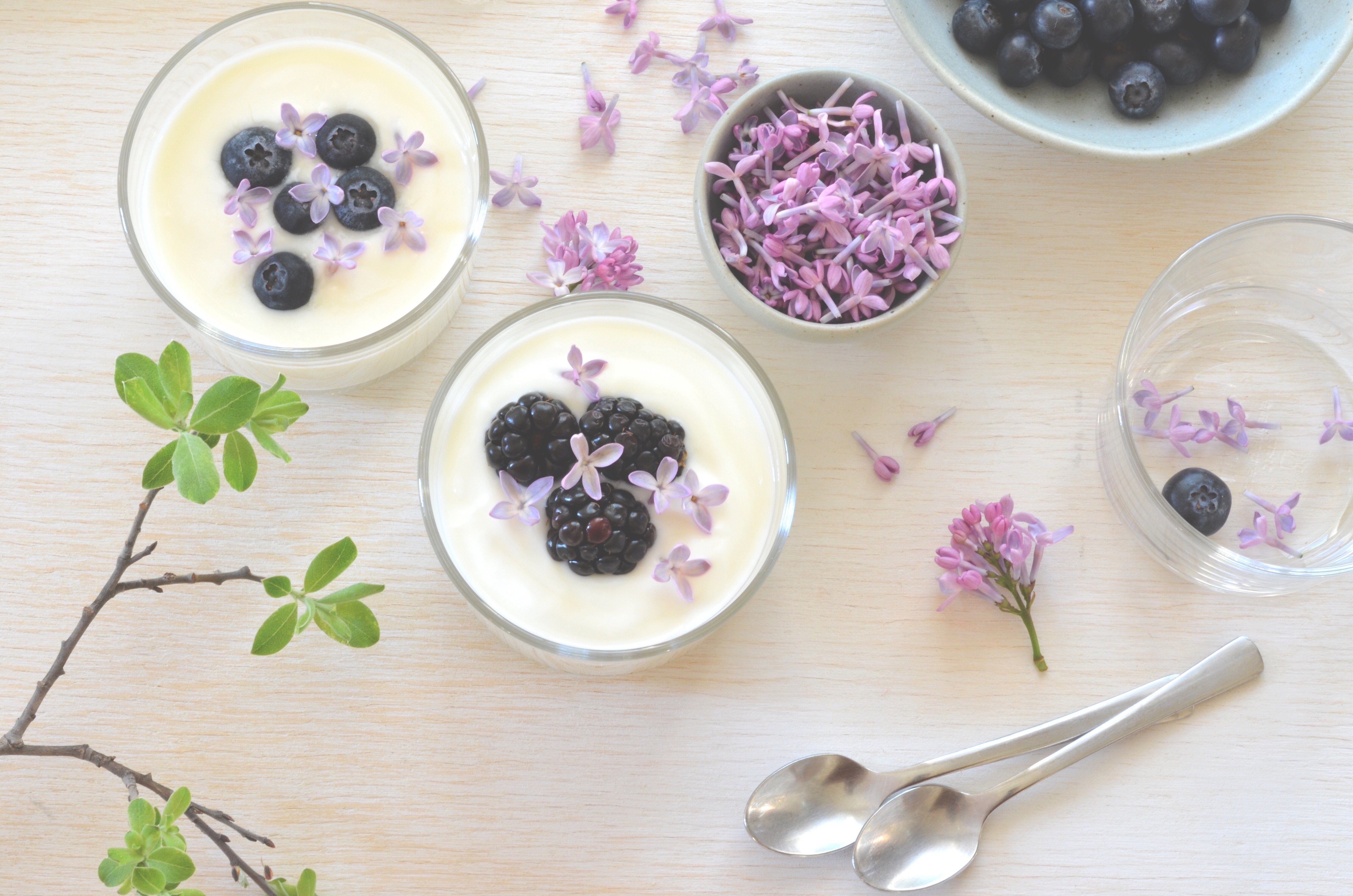 labneh with lilacs and berries; conifères et feuillus; food photography