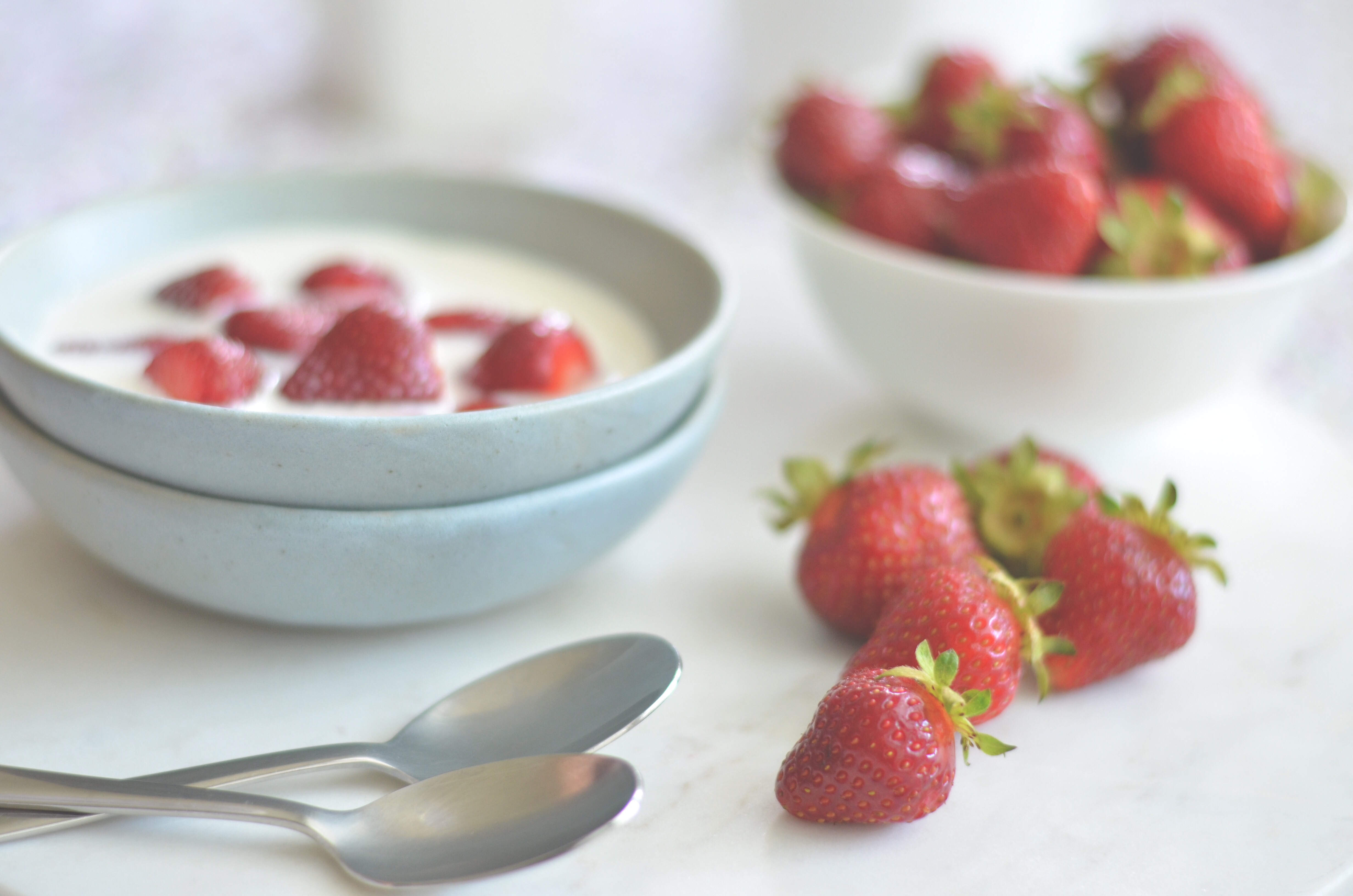 scandinavian strawberry and cream | conifères & feuillus