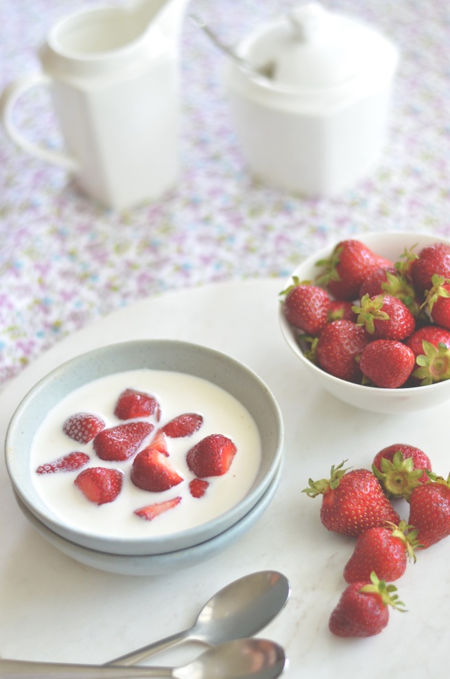 scandinavian strawberry and cream | conifères & feuillus