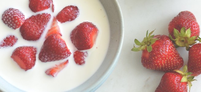 scandinavian strawberry and cream; conifères et feuillus