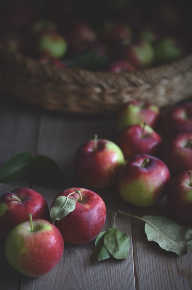 basic applesauce | conifères & feuillus