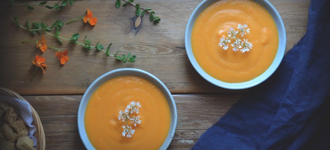 classic cream of carrot soup; conifères et feuillus