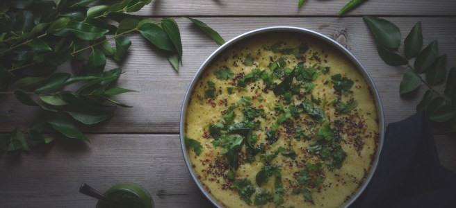 gujarati dhokla | conifères et feuillus food blog