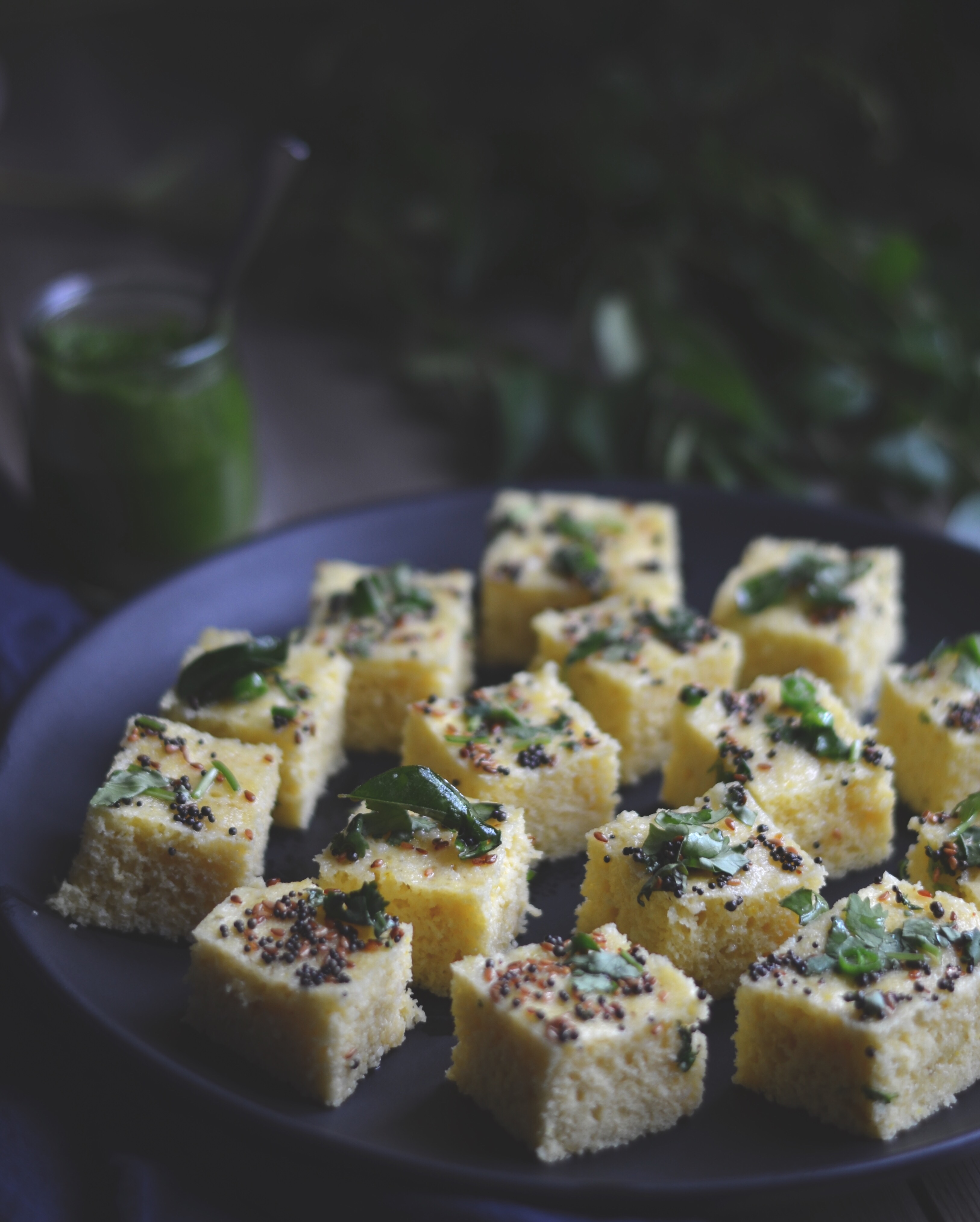 gujarati dhokla | conifères & feuillus