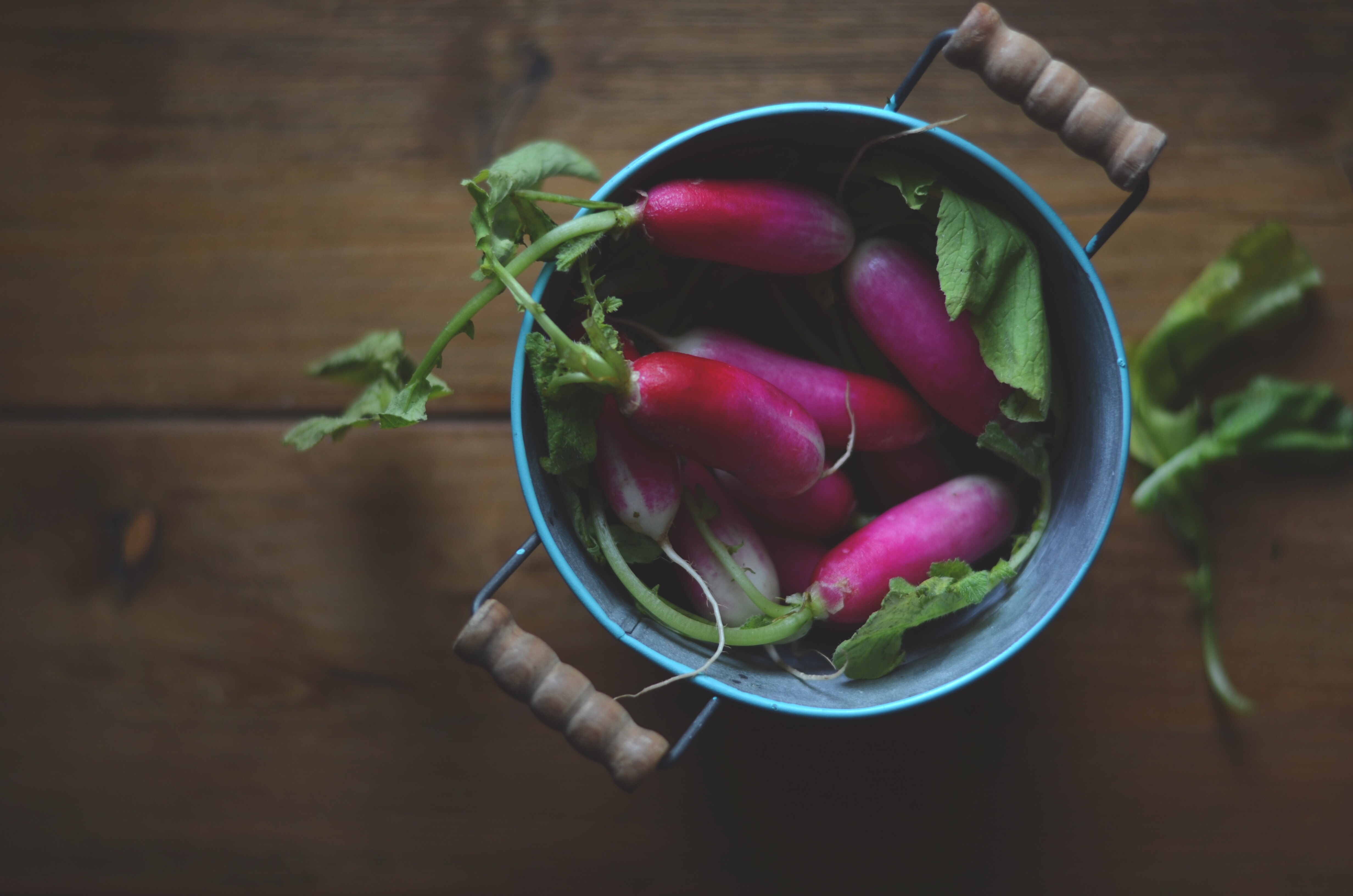 easy radish recipes | conifères & feuillus