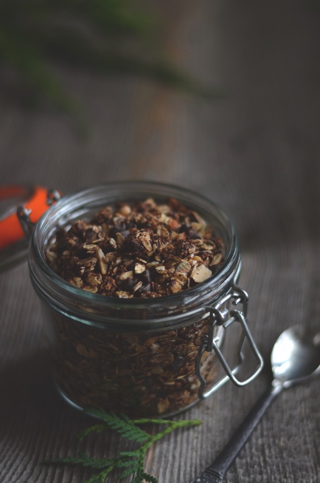 chocolate granola | conifères et feuillus food blog