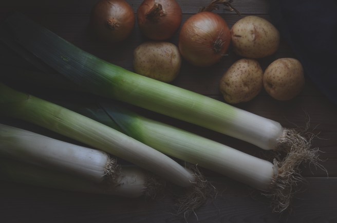 vichyssoise (or leek soup) | conifères & feuillus
