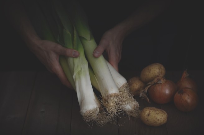 vichyssoise (or leek soup) | conifères & feuillus