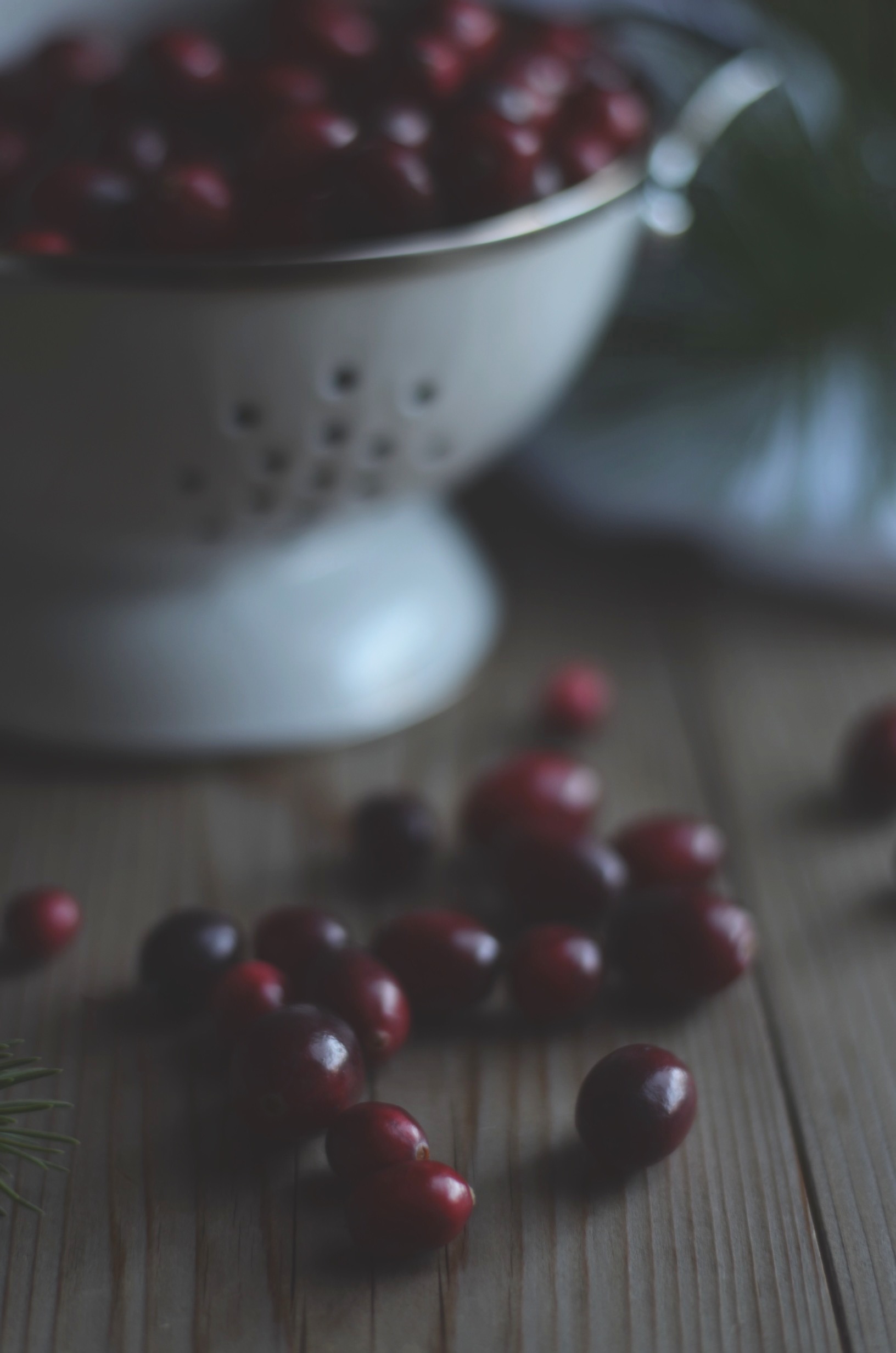 Easy 3 ingredient cranberry sauce recipe | conifères & feuillus