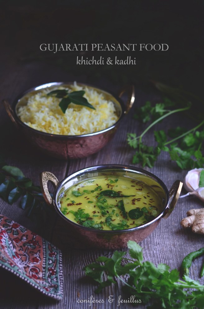 gujarati peasant food, khichdi & kadhi | conifères & feuillus