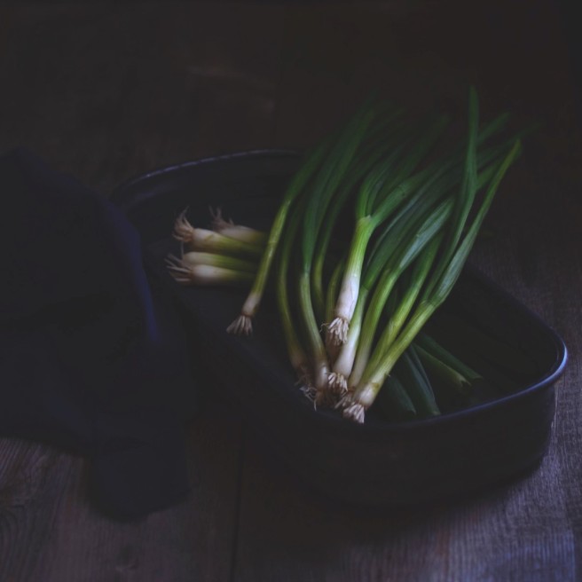 green onions | conifères & feuillus