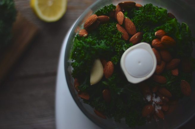 kale & almond pesto | conifères & feuillus