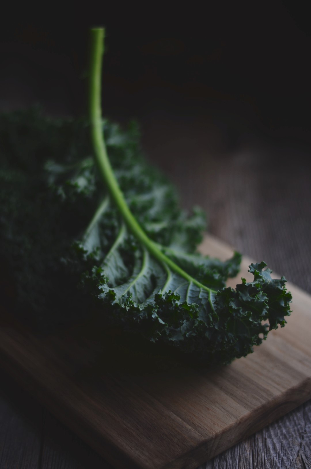 kale | conifères & feuillus