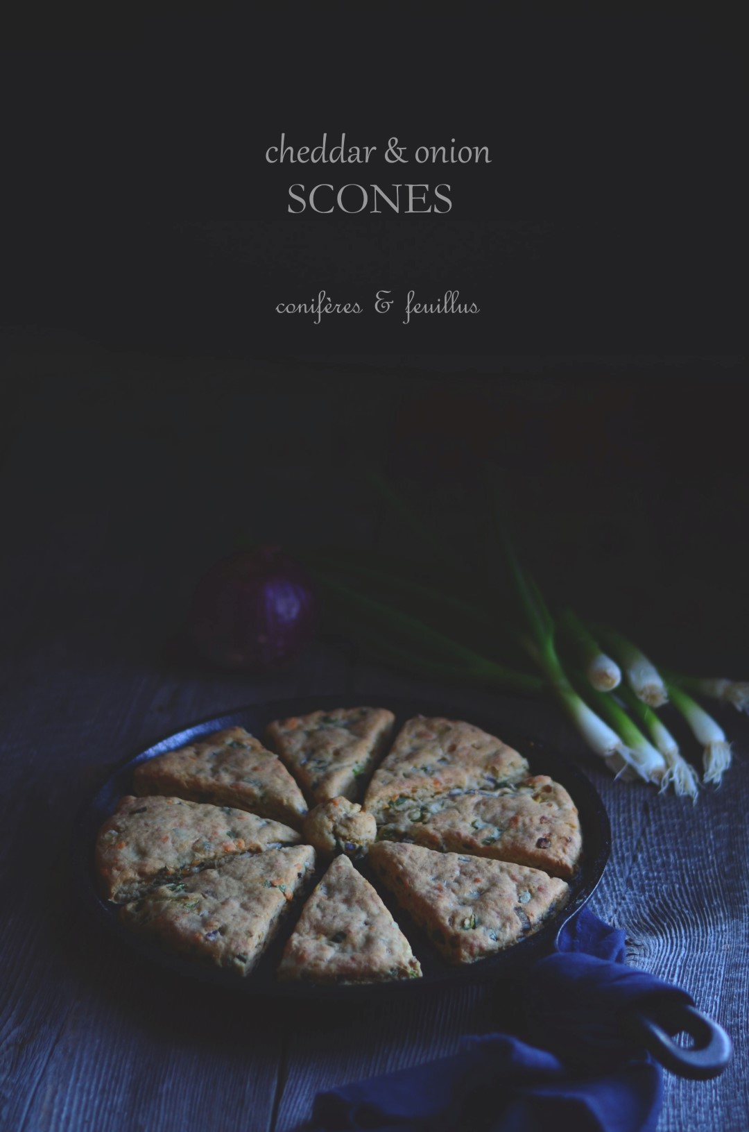 cheddar cheese and onion scones | conifères & feuillus
