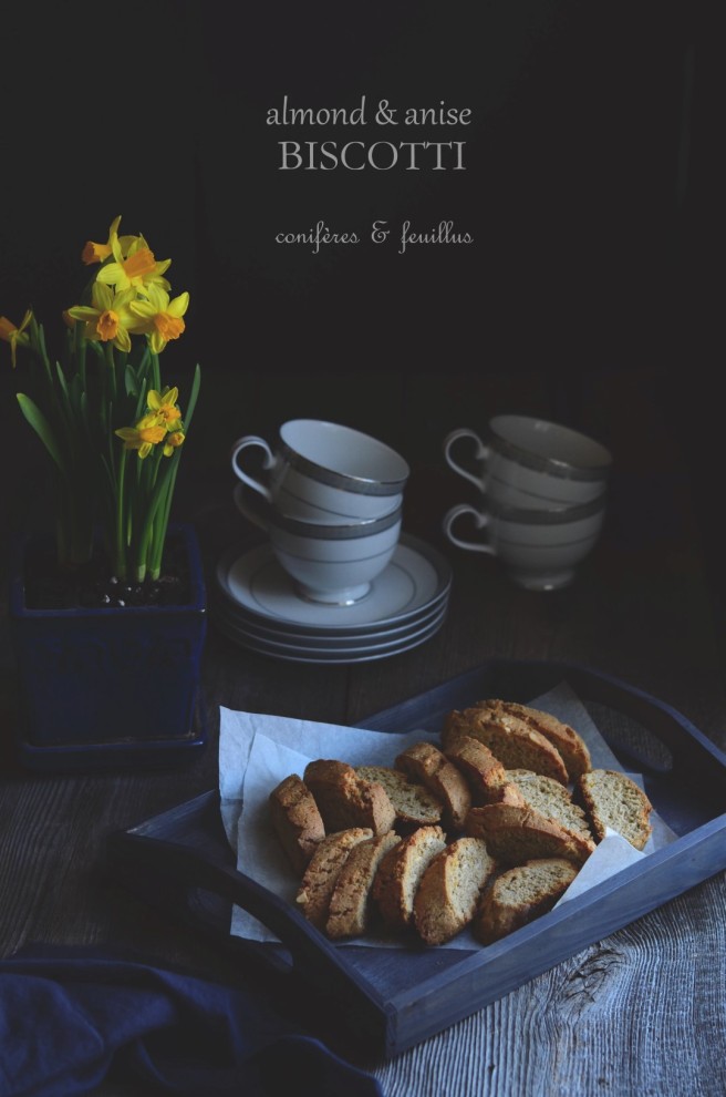 almond anise and orange biscotti | conifères & feuillus
