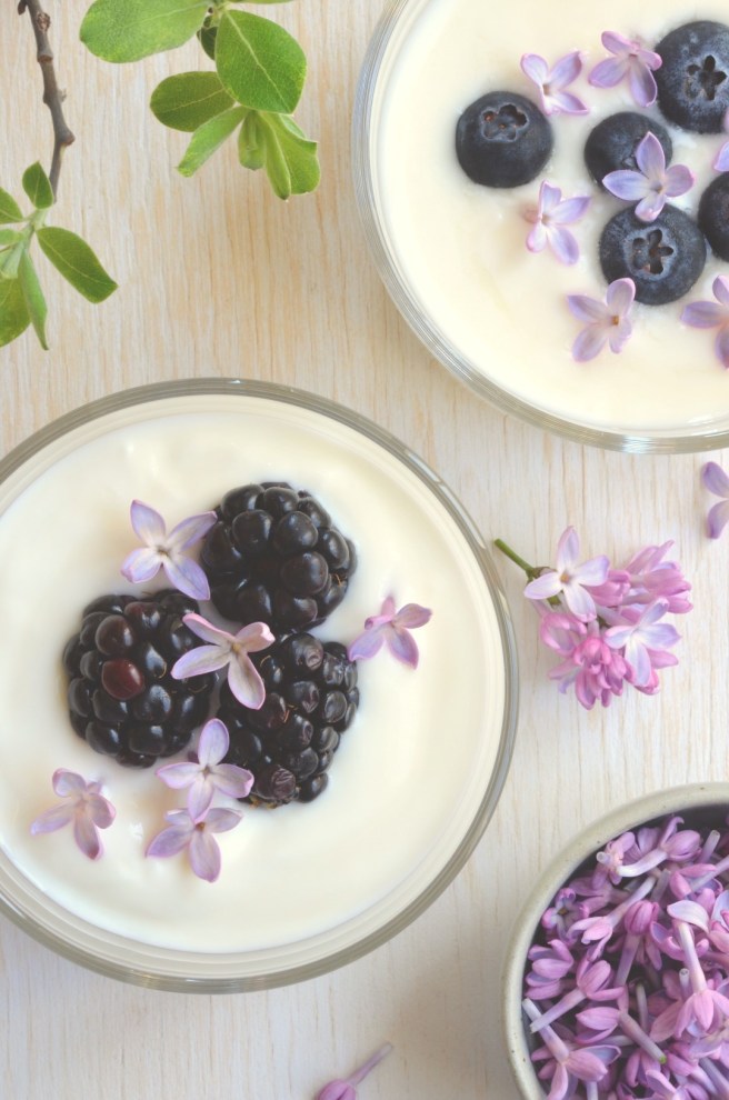 labneh with lilacs and berries | conifères et feuillus