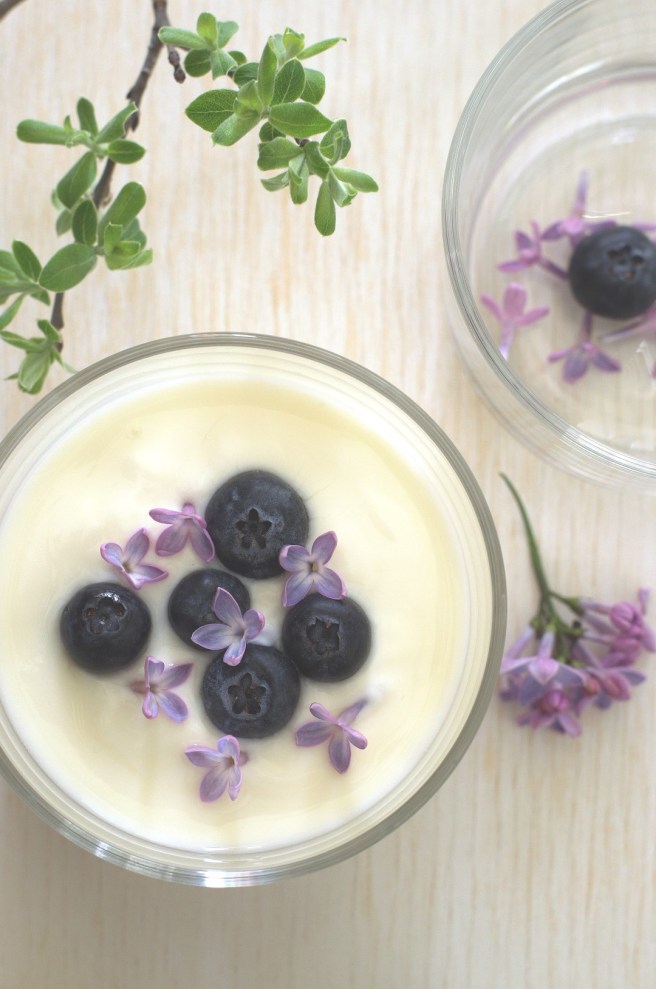 labneh with lilacs and berries | conifères et feuillus