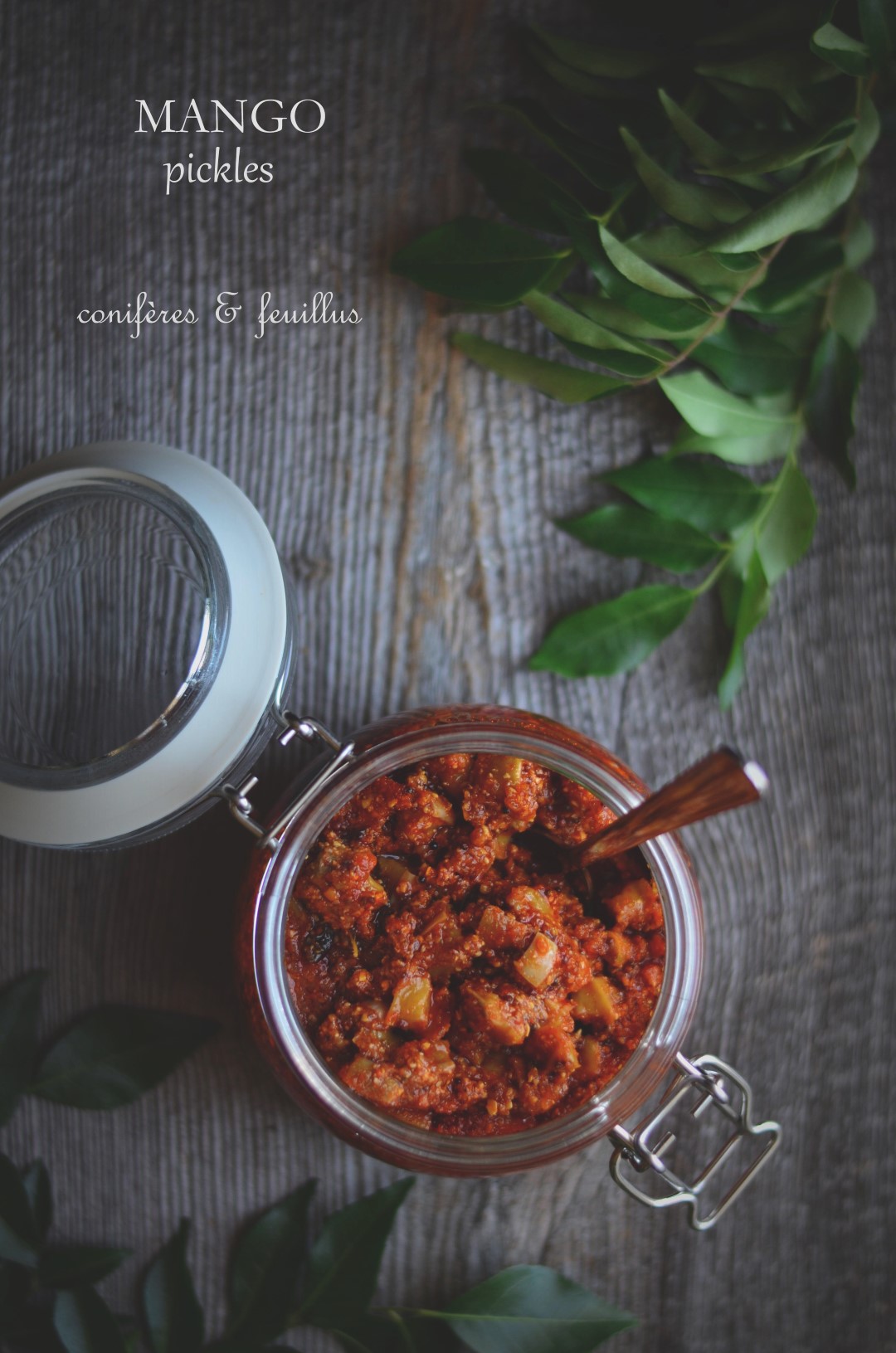 Indian mango pickles | conifères & feuillus