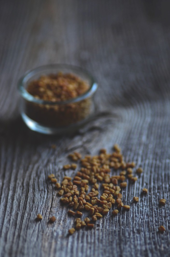 methi or fenugreek seeds | conifères & feuillus