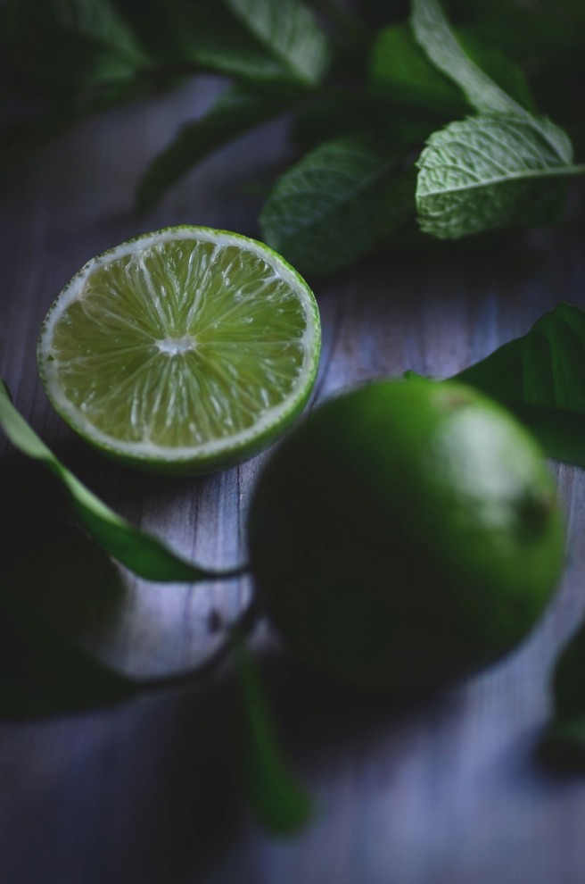 mint and lime | conifères & feuillus