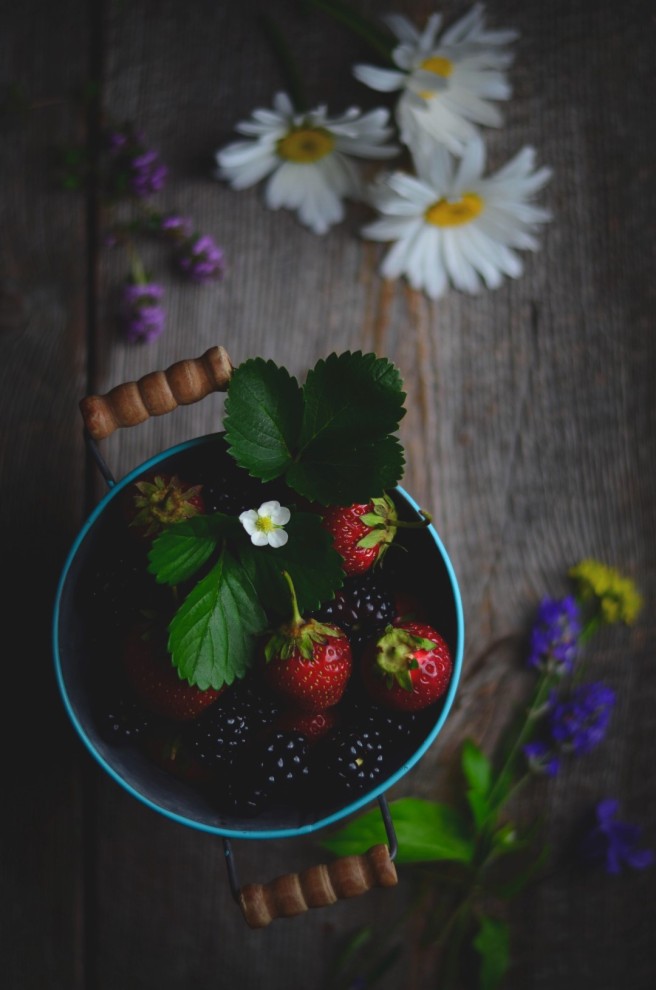 summer berries | conifères & feuillus