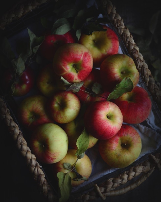 apples | conifères & feuillus