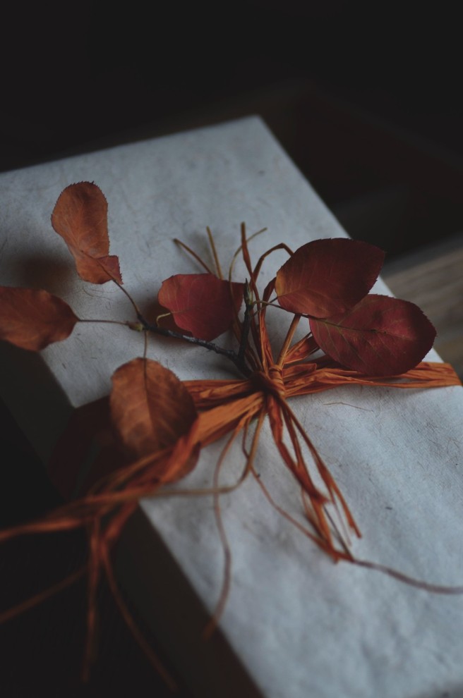 Autumn gift wrapping inspiration | conifères & feuillus