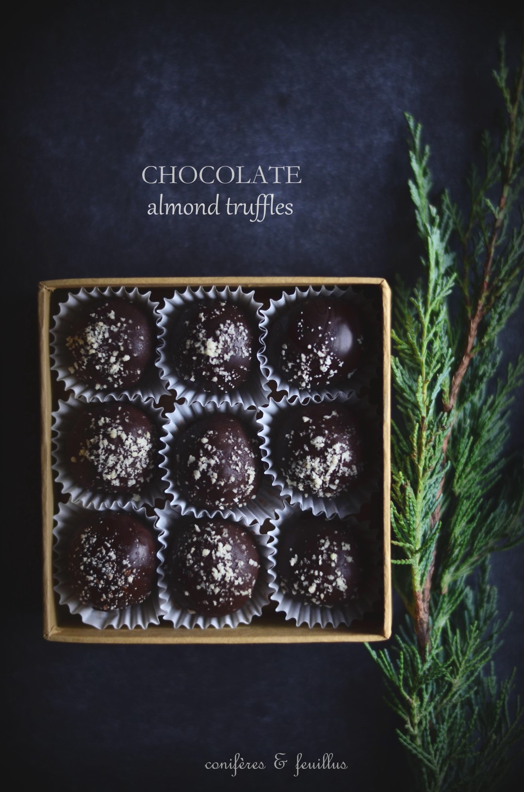 chocolate almond truffles | conifères & feuillus