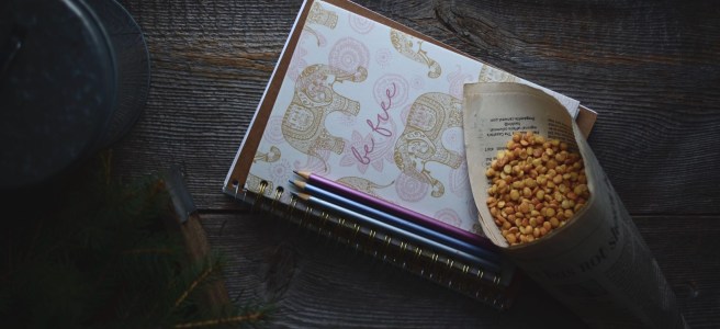 roasted split desi chickpeas | conifères & feuillus