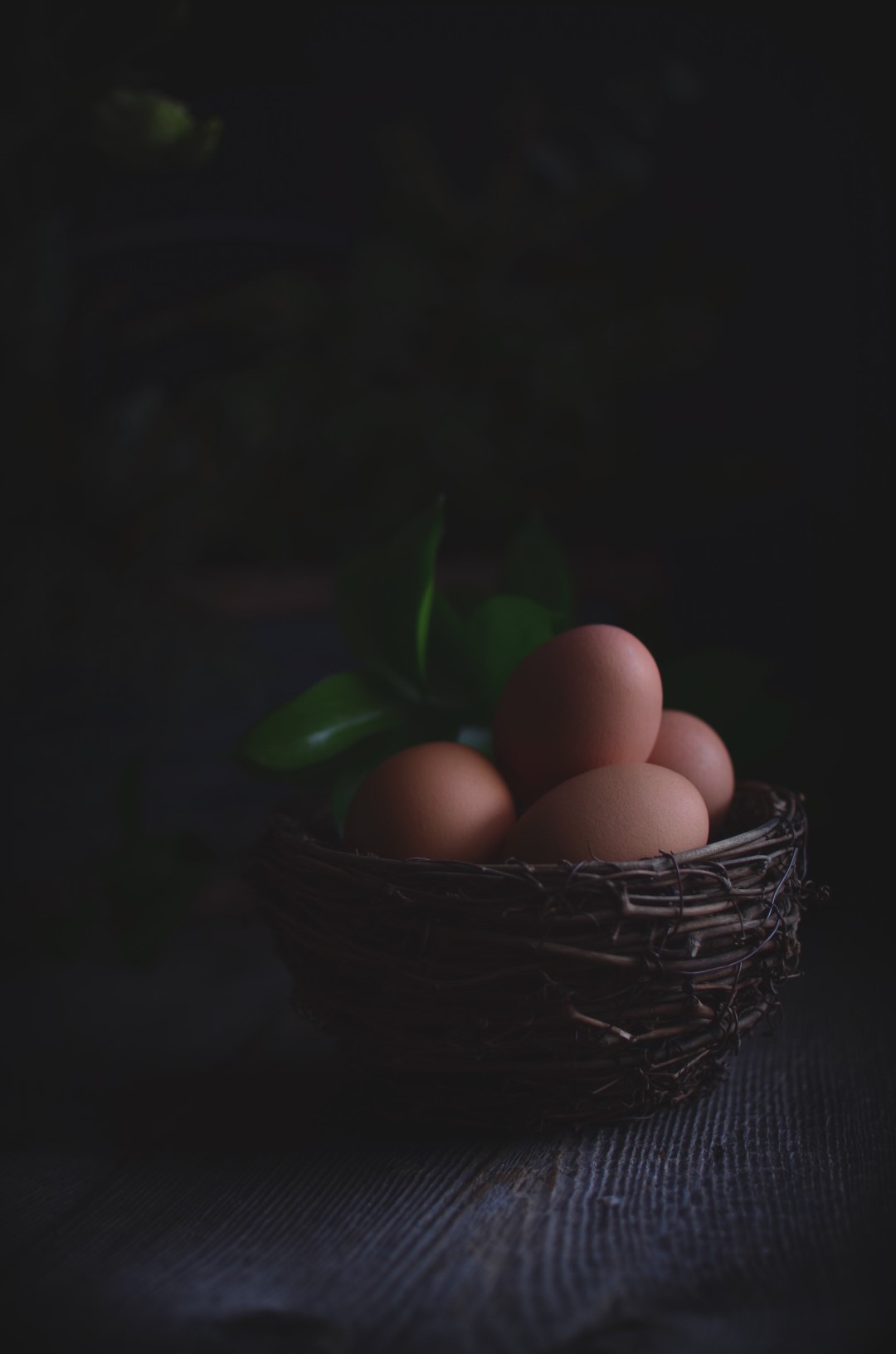 crème brûlée with raspberry coulis | conifères & feuillus
