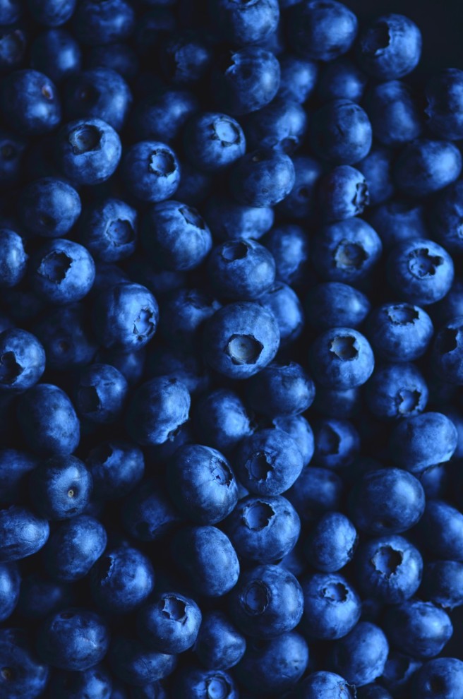 Blueberry & Lemon Ice Cream | conifères & feuillus