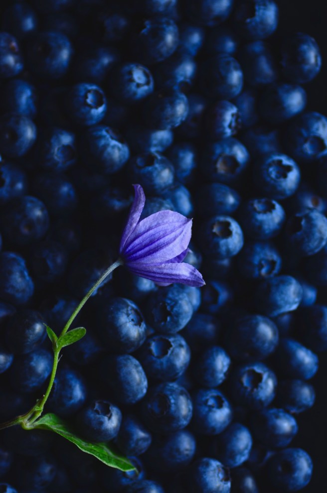 oatmeal cookies | conifères & feuillus
