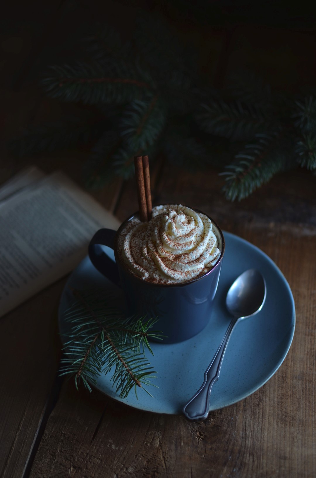 spiced hot chocolate | conifères & feuillus