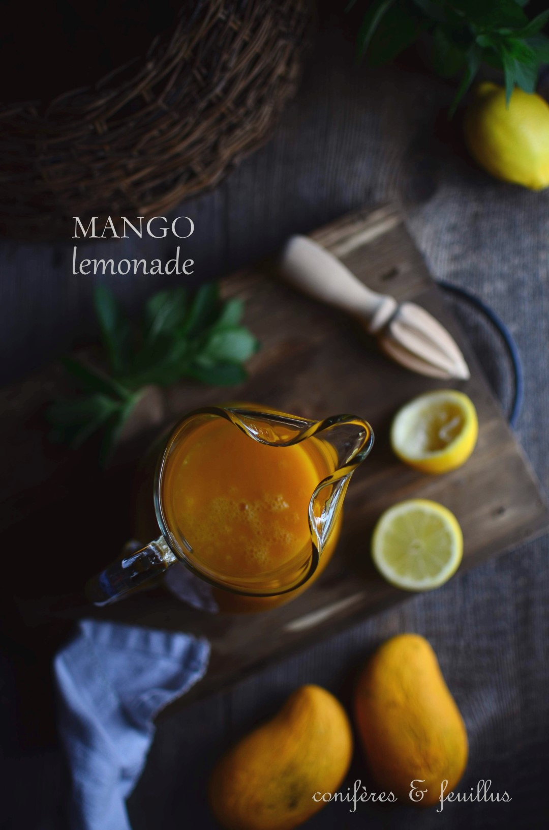 mango lemonade | conifères & feuillus
