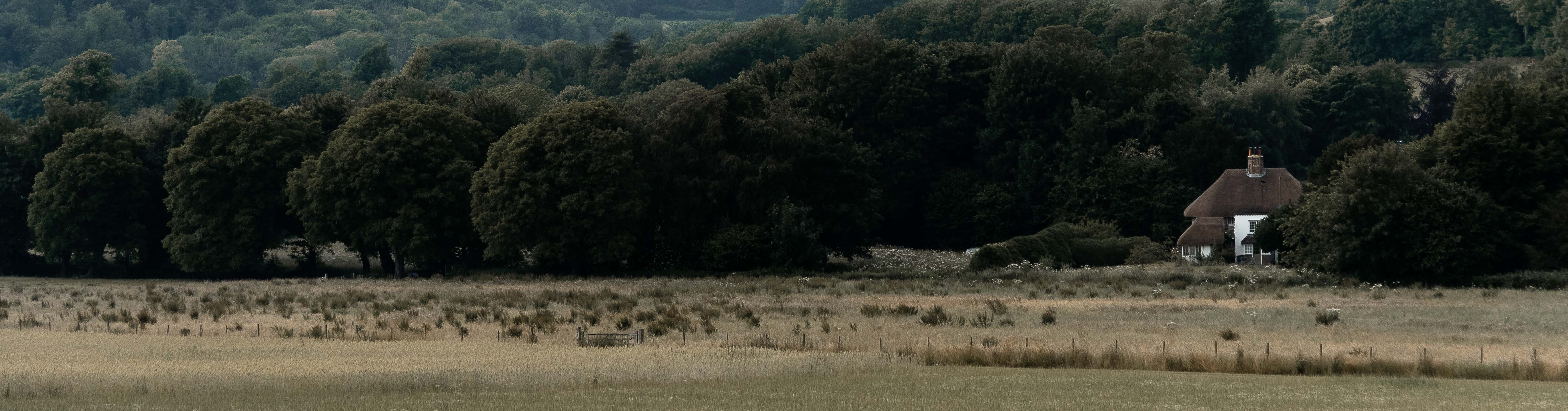 A scenic view of a lush field bordered by dense trees, featuring a charming thatched-roof cottage nestled among the greenery.