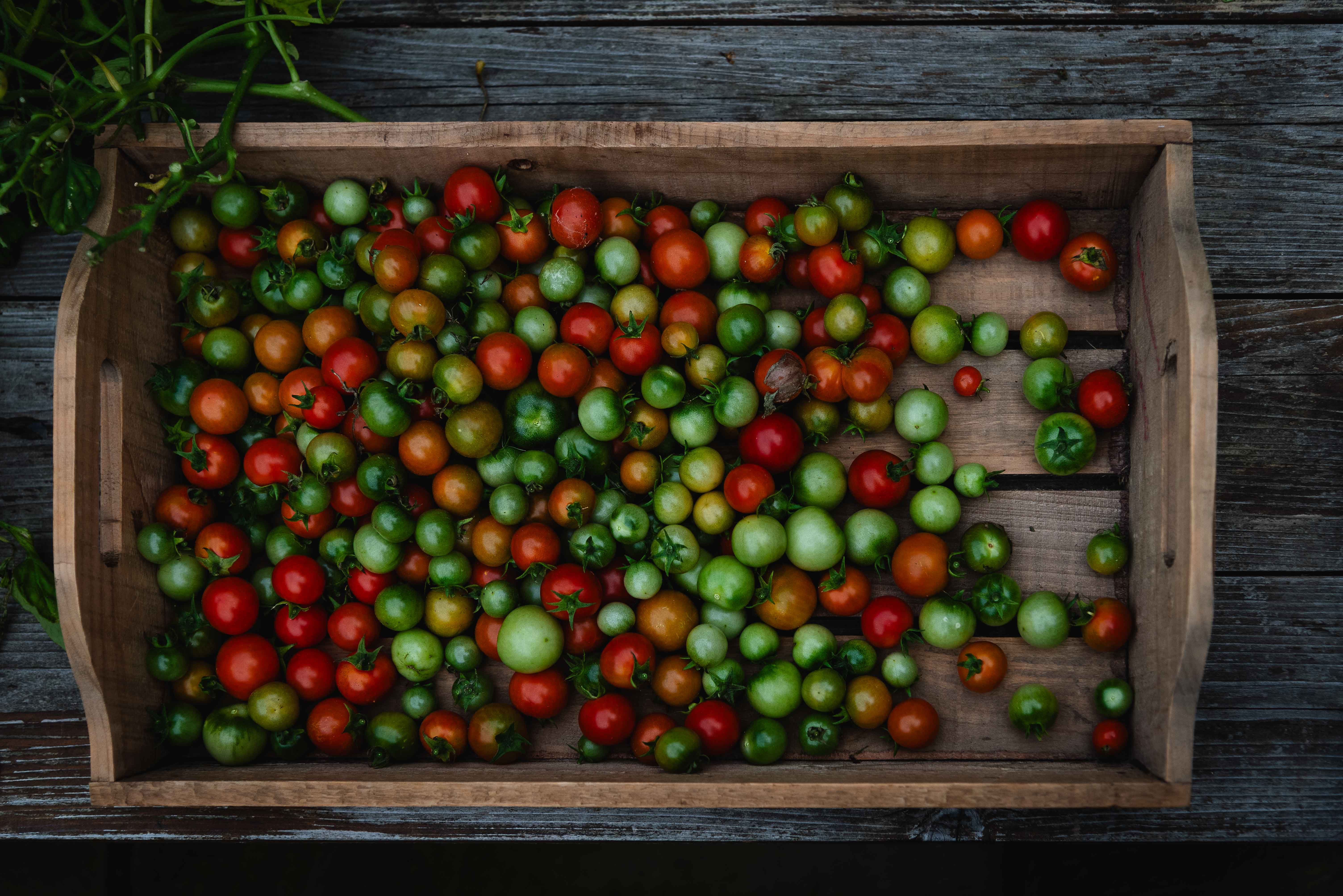 A wooden crate filled with a variety of ripe and unripe tomatoes, including red, orange, and green ones, placed on a textured wooden surface.