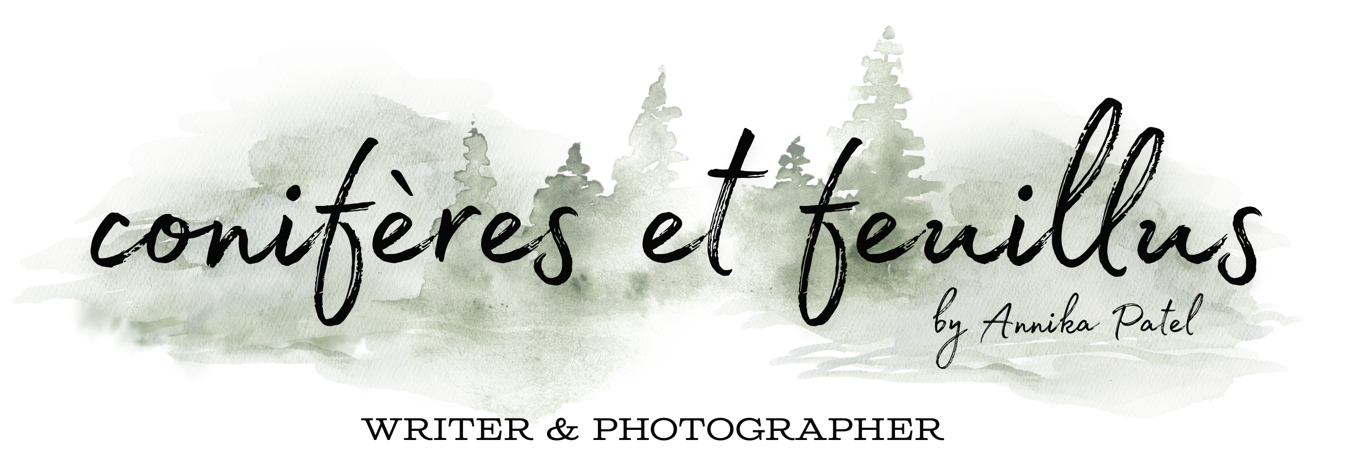 conifères et feuillus